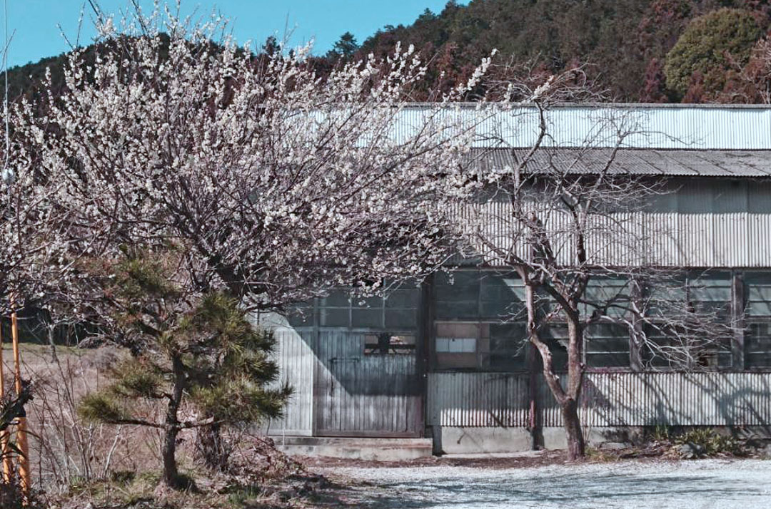 春の訪れを感じる倉庫,埼玉県飯能市