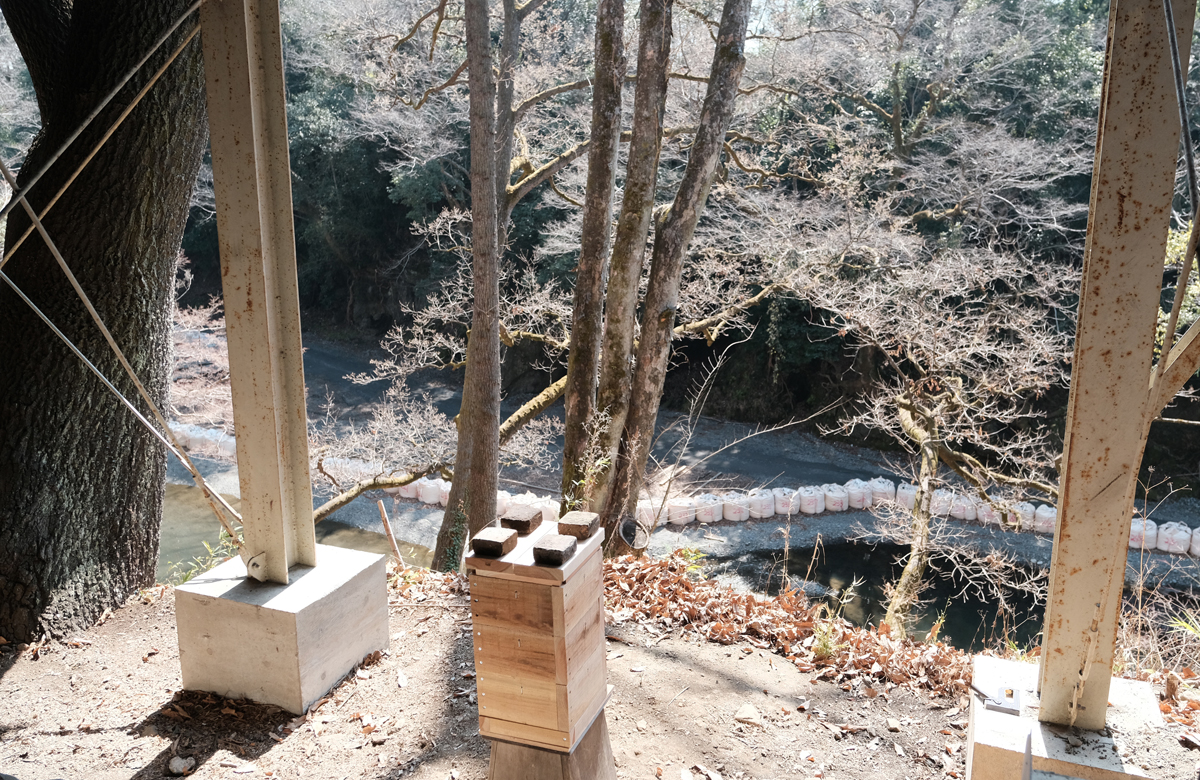 飯能河原沿いに二ホンミツバチの巣箱を設置しました