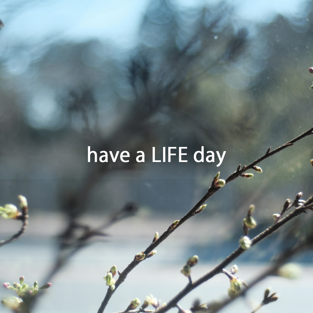 埼玉県飯能市月一マルシェ「have a LIFE day」
